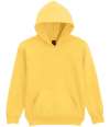GD68B SF500B Gildan Kids SoftStyle® Midweight Hoodie Daisy colour image